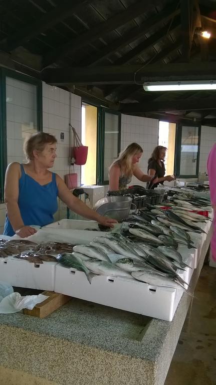 Apartman Noni Biograd Na Moru Exteriör bild